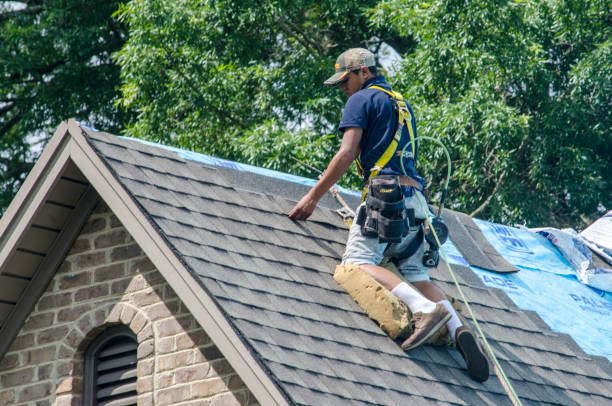 Best Roof Repair Services  in Loomis, CA